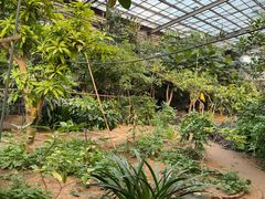 -呀路古热带植物园
