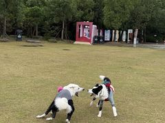 -上海海湾国家森林公园