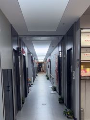 -单色舞蹈