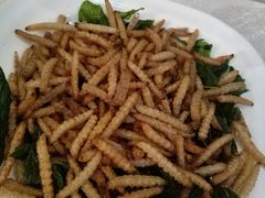-云腾食府·云南菜