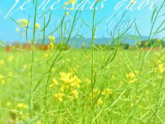 -光明小镇欢乐田园