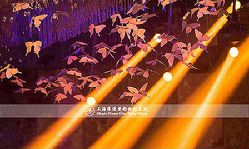点击看大图 -上海雅居乐万豪侯爵酒店·宴会厅