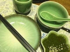 -海桐