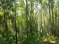 -南山风景名胜区