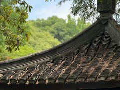 -杭州植物园