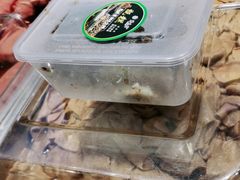 -紫光园(顺义店)