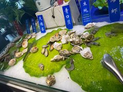 -悦巷海鲜自助铁板烧(秦皇东大街店)
