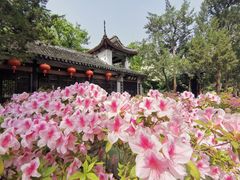 -惠山古镇·寄畅园