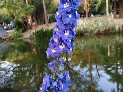 -人民公园(罗湖区)