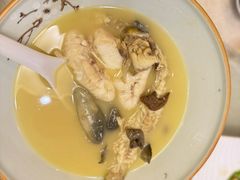 -孔庆璞河豚馆(白玉兰酒店)