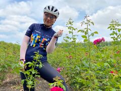 -海上花岛玫瑰园采摘