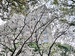 -安福路