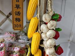 -苏州市吴中区光福窑上花果蜜饯厂