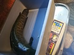 -湘芙蓉·湖南菜(椒江店)