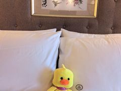 -惠州康帝国际酒店