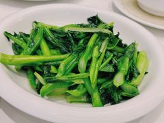 白灼菜心-万龙洲海鲜(大兴绿地缤纷城店)