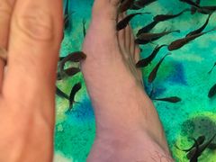 -泰国鱼疗足疗馆