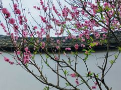 -乌山风景区
