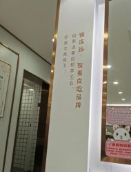 -镁连社·美联社