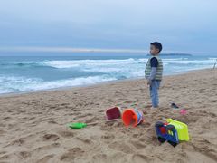 -味餐厅·海鲜·火锅·自助餐