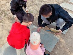 -大兴滨河森林公园