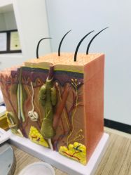 -痘博士广州·全国连锁祛痘机构