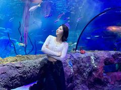 -沈阳海洋探索中心