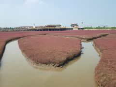 -红海滩国家风景廊道