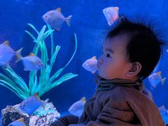 -沈阳海洋探索中心