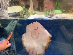 -合肥海洋世界