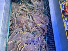 -开海·红岛海鲜虾水饺(石老人店)