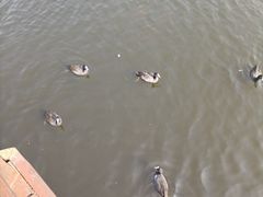 -前关湿地公园