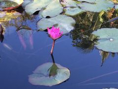 -泉州海丝野生动物世界