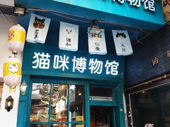 -猫咪博物馆(顶澳仔猫街店)