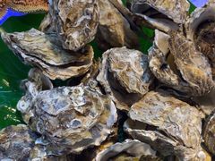 -石家庄万象天成假日酒店