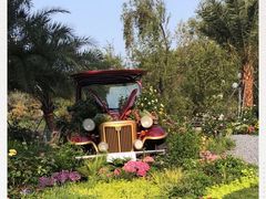 -人民公园(罗湖区)