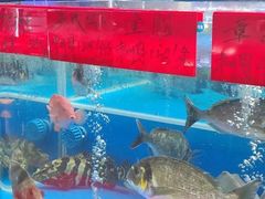 -明本海鲜大排档·鱼生海鲜烧烤宵夜(陈家祠店)