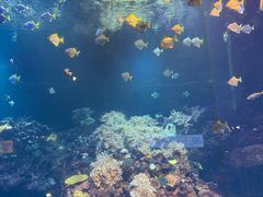 -海合安青岛极地海洋公园
