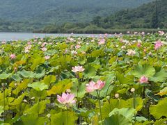 -南北湖风景区