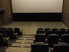 -汉阳天河电影城(王家湾店)