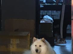 -肆兮眼镜·蔡司·徕卡战略合作店(大坪店)