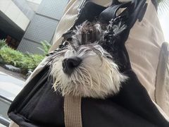 -PETKIT小佩宠物(昭化店)