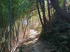 -大罗山风景区