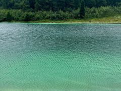 -武陵山森林公园