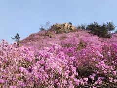 -青岛大珠山景区