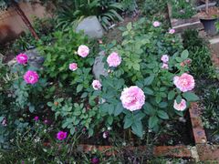 -五四广场美食城