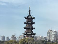 -龙华寺