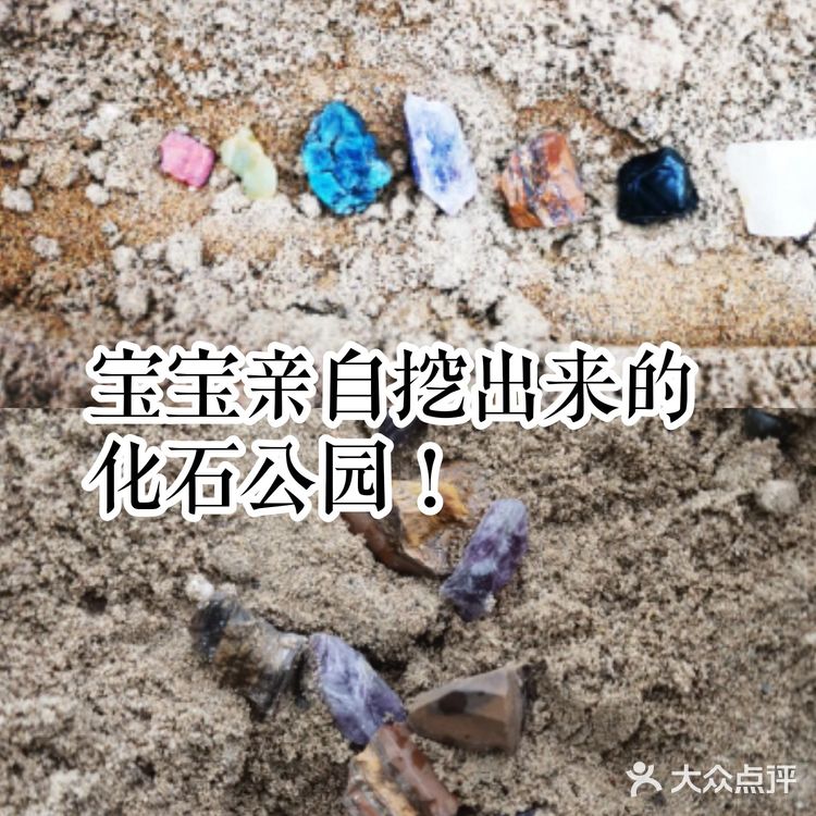 宝宝亲自挖出来的化石公园！