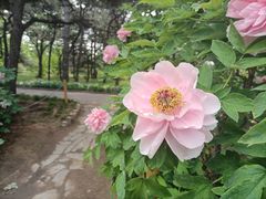 -国家植物园南园