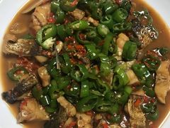 -全乐鱼馆·淳牌有机鱼直营店